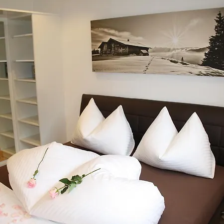 Appartements Ski Rent Michael Kitzbuhel Exterior photo